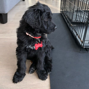 Meet your Posher, Steph